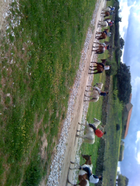 caballos con hipica san yago